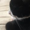 helloholly123